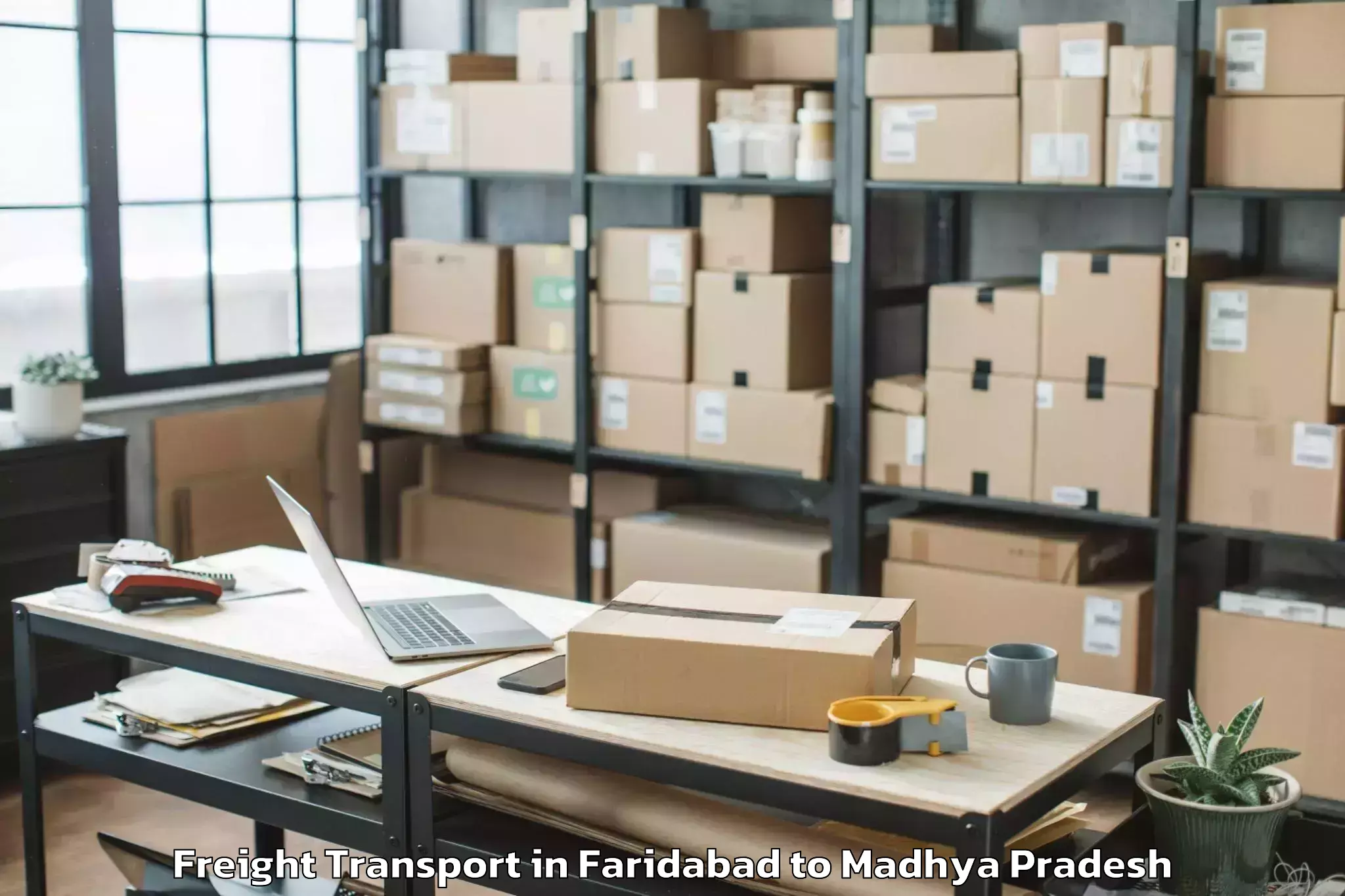 Easy Faridabad to Gandhwani Freight Transport Booking